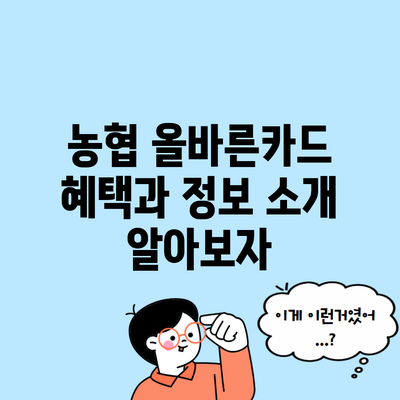 농협 올바른카드 혜택과 정보 소개 알아보자