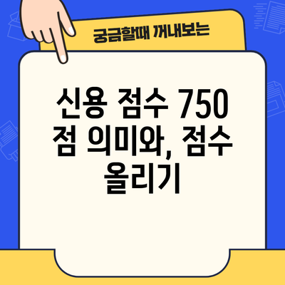 신용 점수 750 점 의미와, 점수 올리기