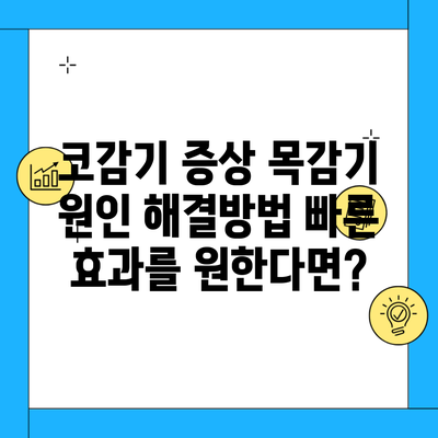 코감기 증상 목감기 원인 해결방법 빠른 효과를 원한다면?