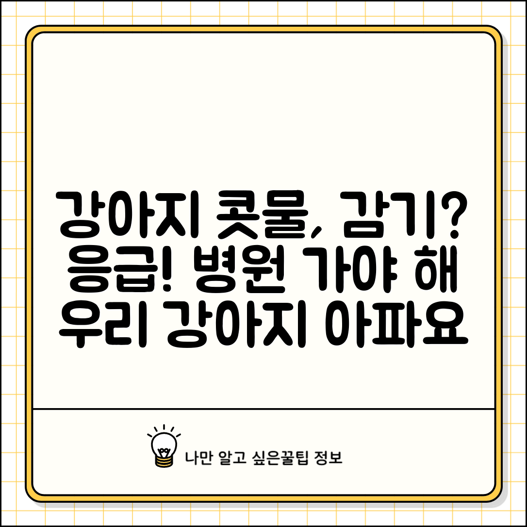 강아지 콧물 나는데 감기인가요 | 강아지 콧물 | 감기 증상 | 병원