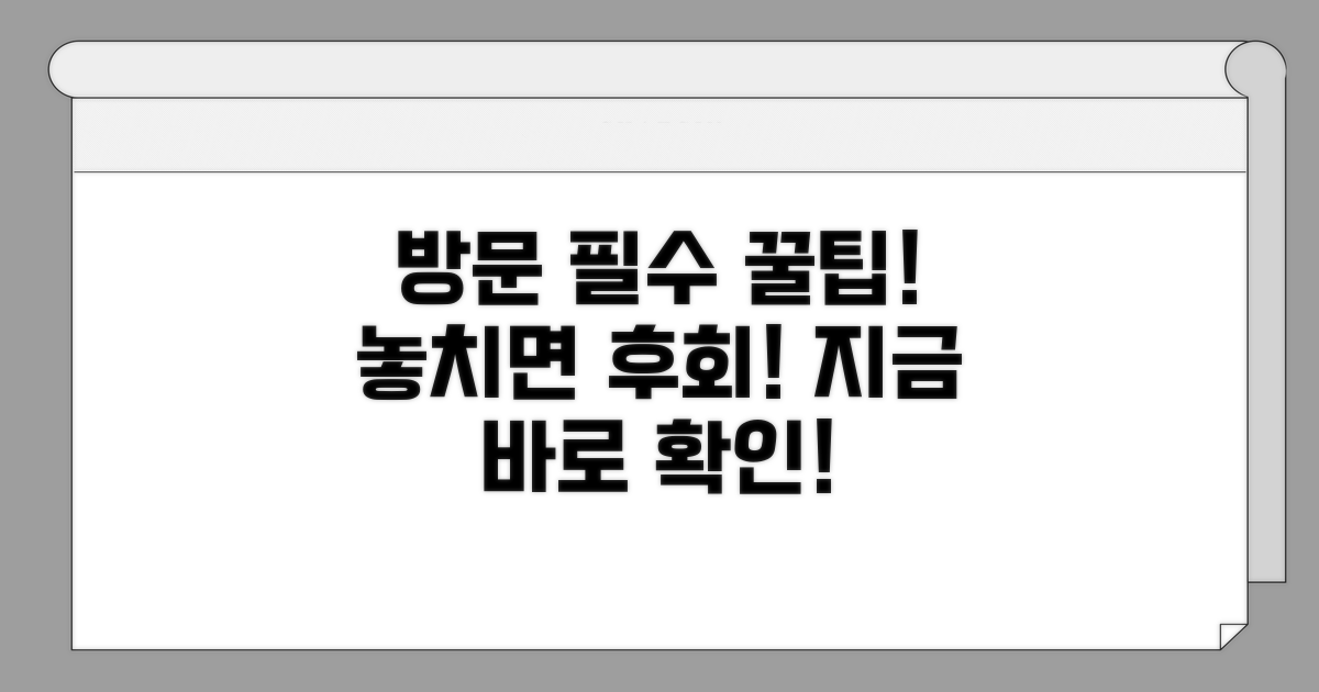 방문 전 알아두면 좋은 팁