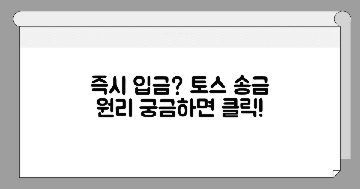 즉시 입금되는 토스 송금 원리