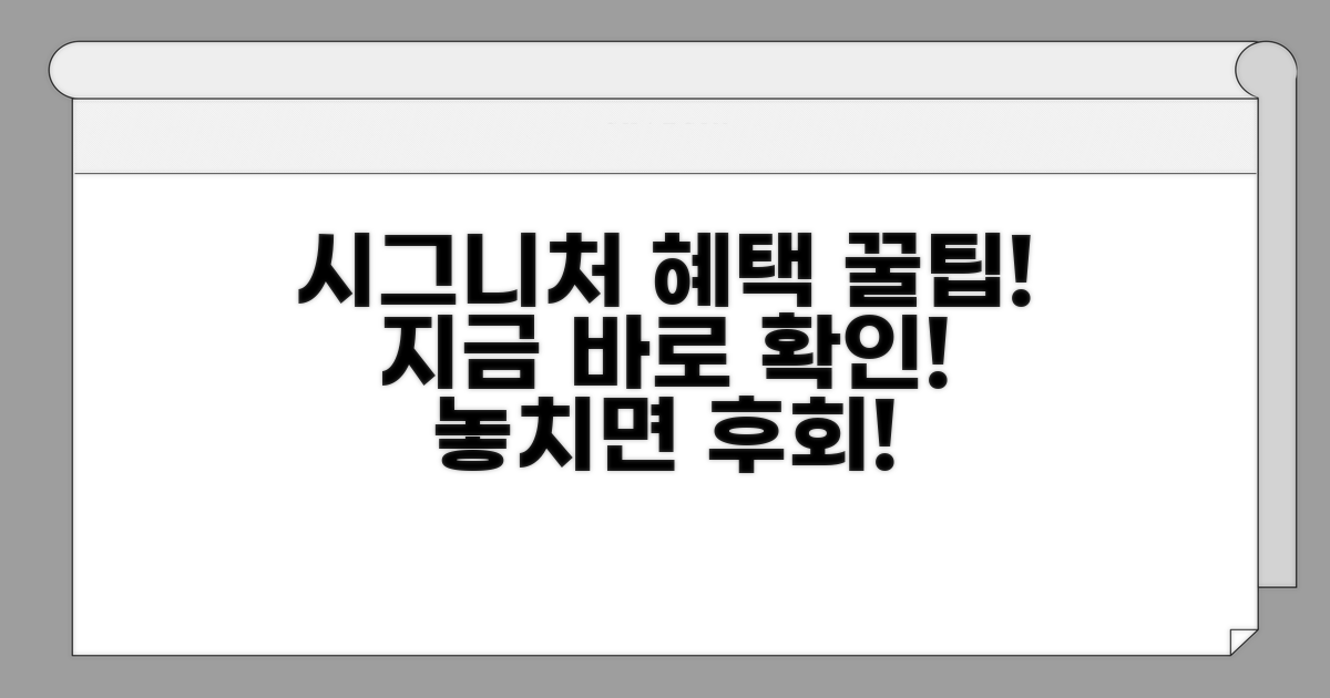 시그니처 서비스 혜택 완벽 분석
