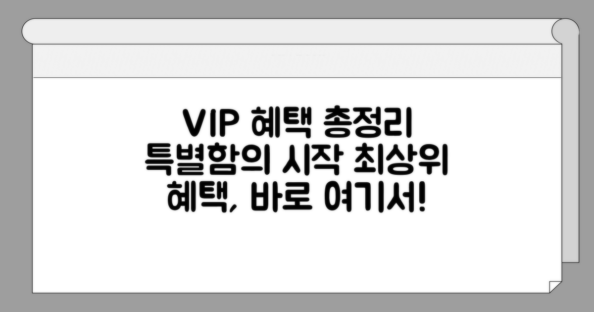 VIP 우대 프로그램 핵심 안내