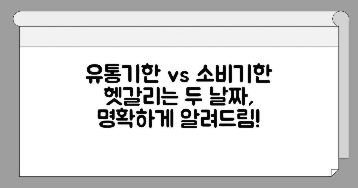 유통기한 소비기한 개념 비교