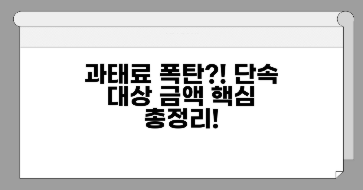 단속 대상과 과태료 금액 상세