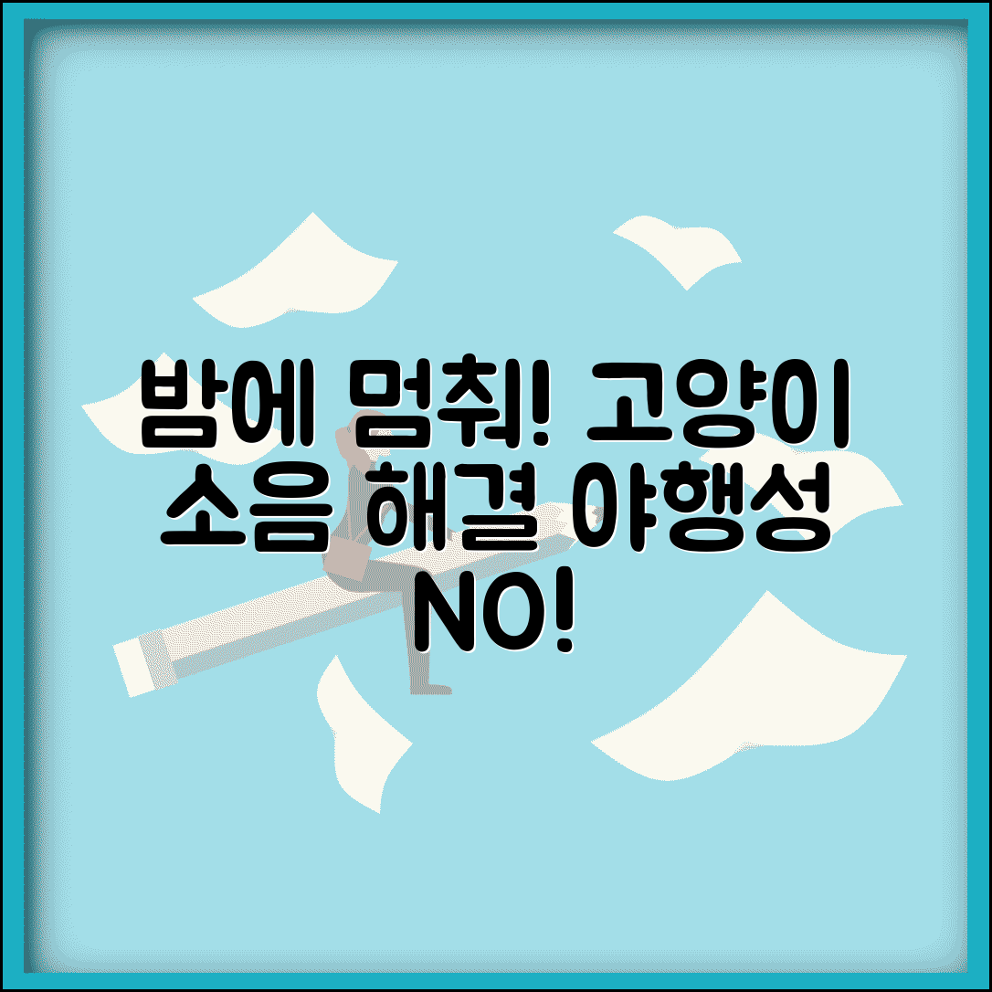 고양이가 밤에 뛰어다니는데 조용히 시킬 수 있나요 | 고양이 야간활동 | 소음 | 행동수정