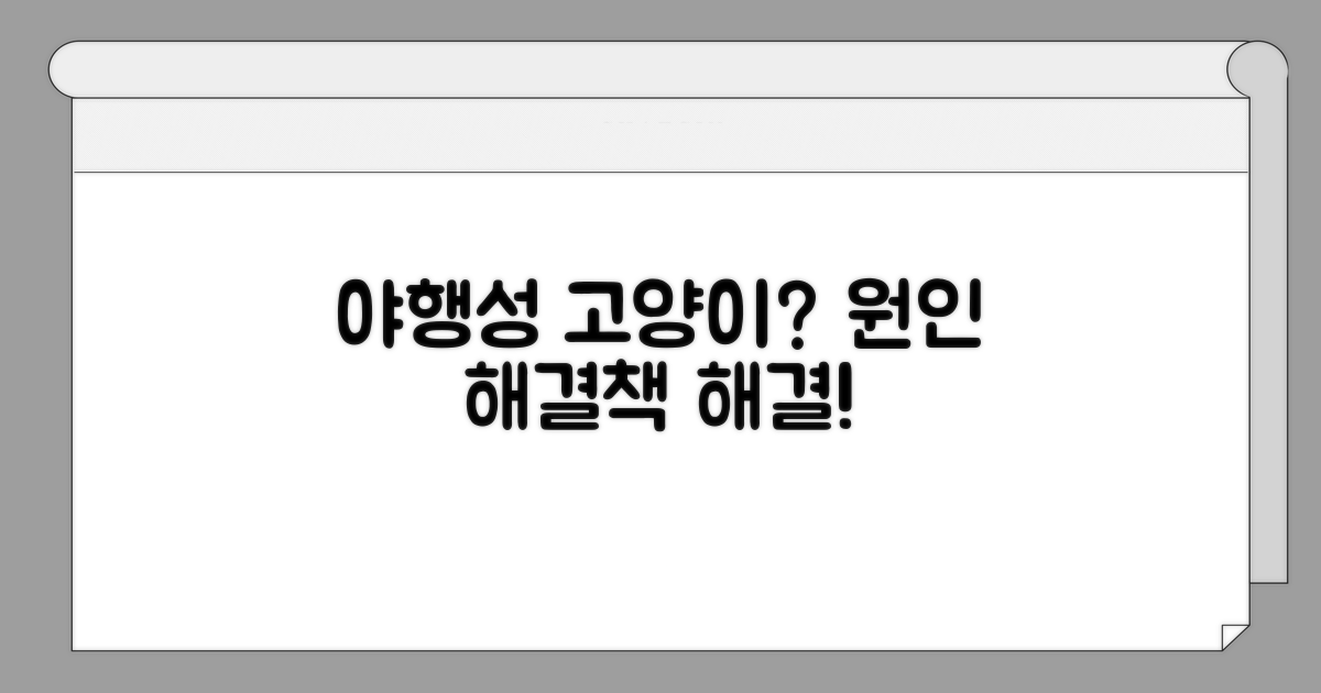 고양이 야행성 원인과 해결책