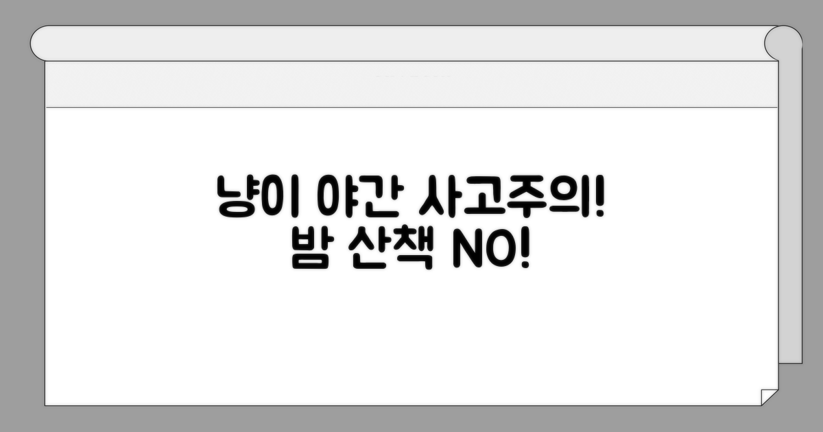 고양이 야간활동 주의할 점