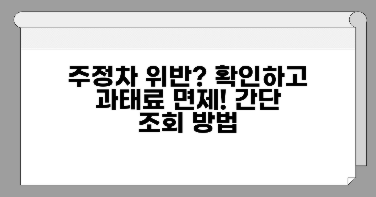 주정차 위반 사실 확인 방법