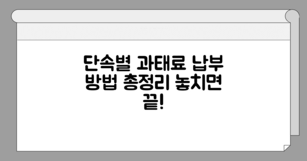 단속 유형별 과태료와 납부 방법