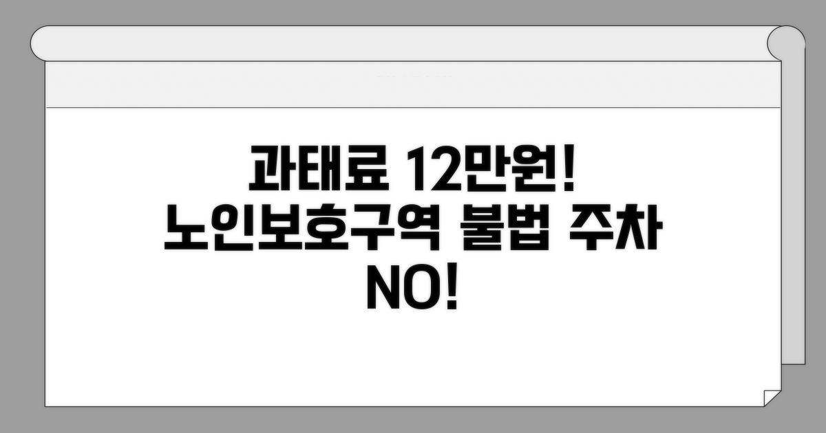 노인보호구역 불법 주차 과태료 12만원