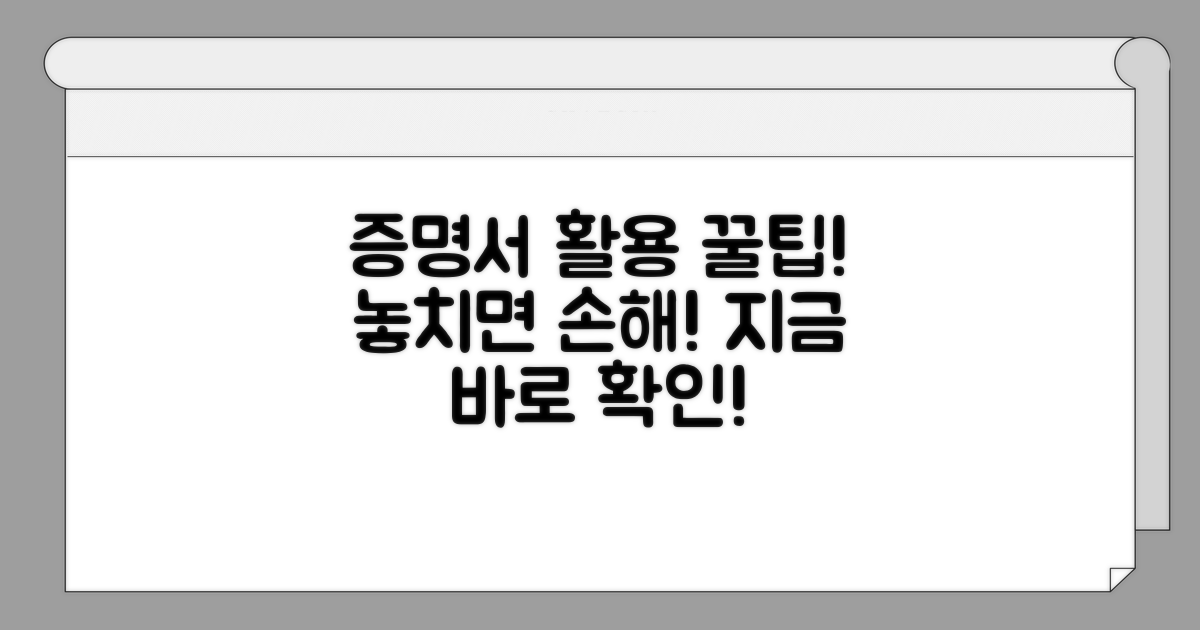 발급받은 증명서 활용 꿀팁