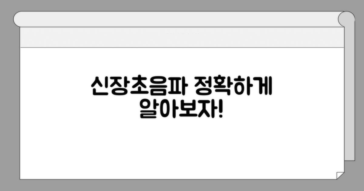 신장초음파 진행 절차 상세 안내
