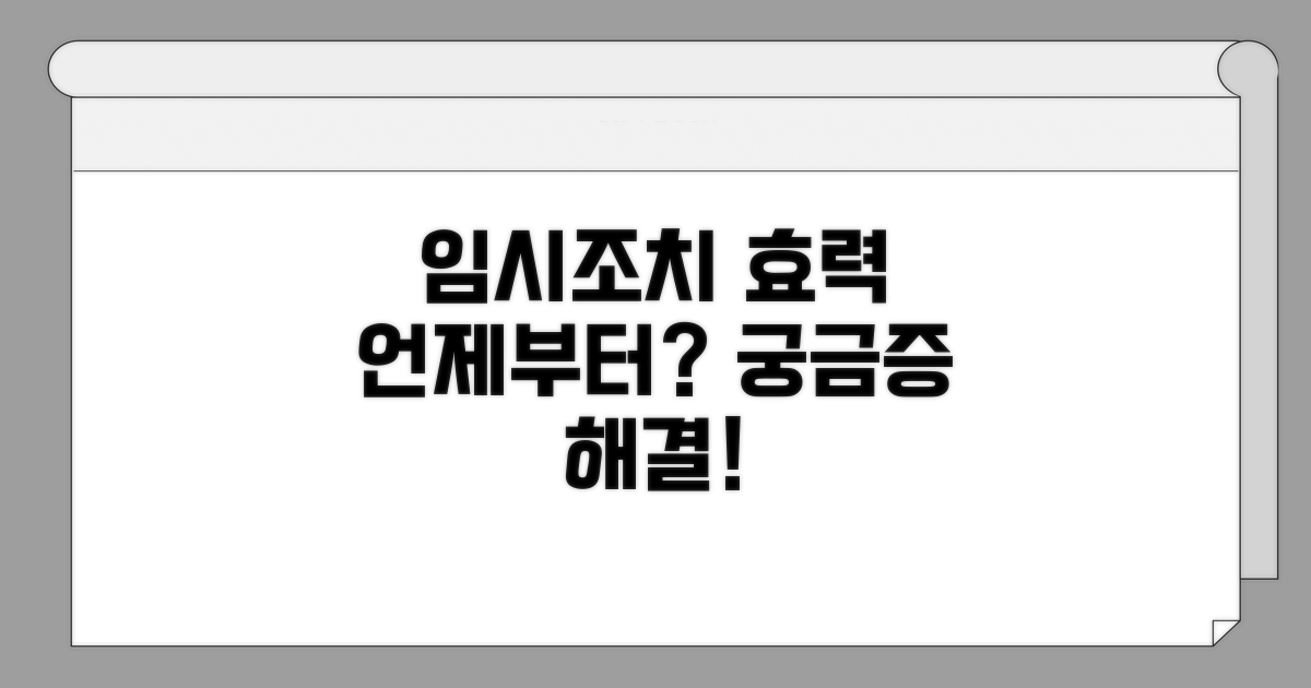 임시조치, 언제부터 효력 발생?