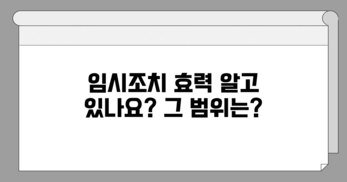 임시조치 효력, 어디까지 미칠까?