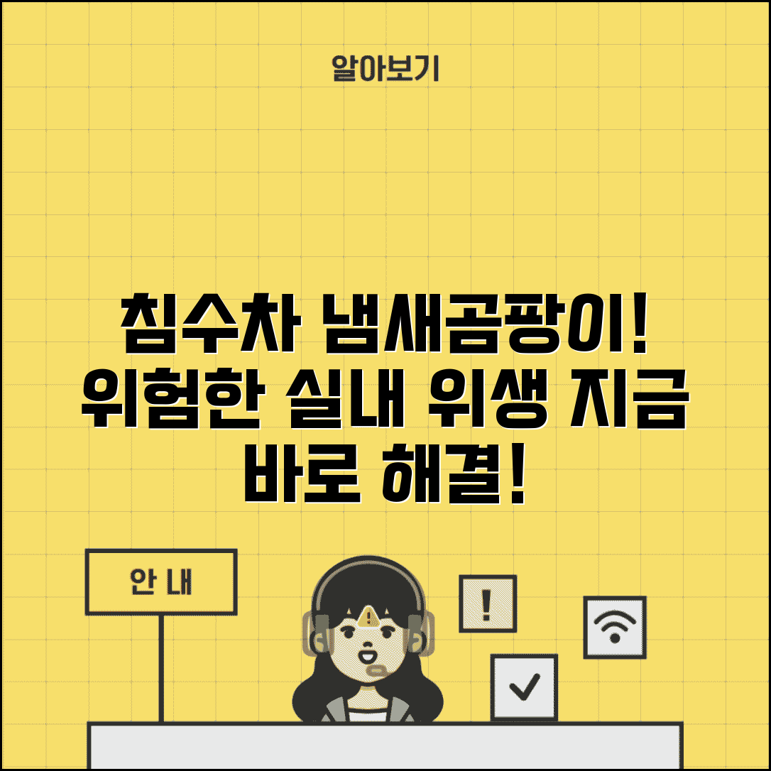 침수차 냄새 및 곰팡이 | 침수차량 냄새 제거 | 곰팡이 번식 위험 | 실내 위생 문제