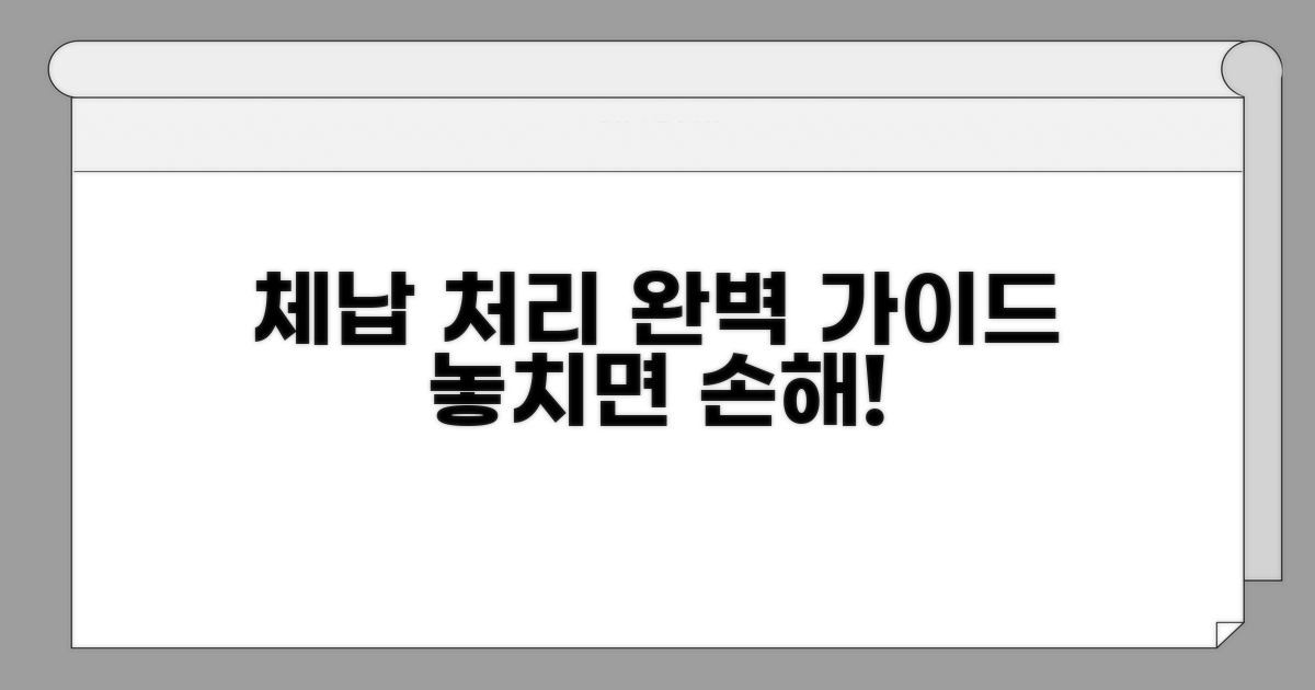 체납 처리 절차 완벽 가이드