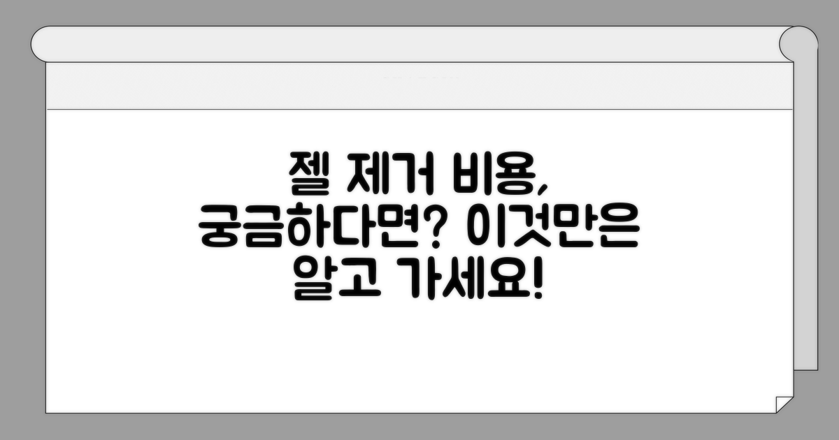 젤 제거 비용, 얼마가 적당할까?