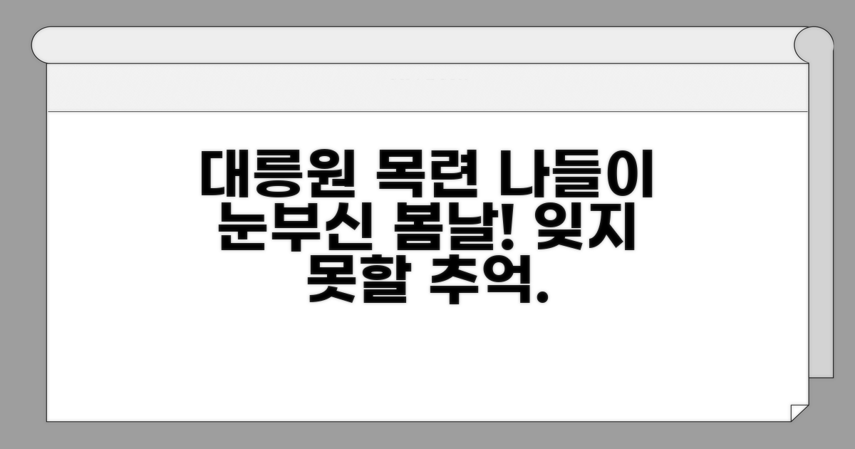 더 즐기는 대릉원 목련 나들이
