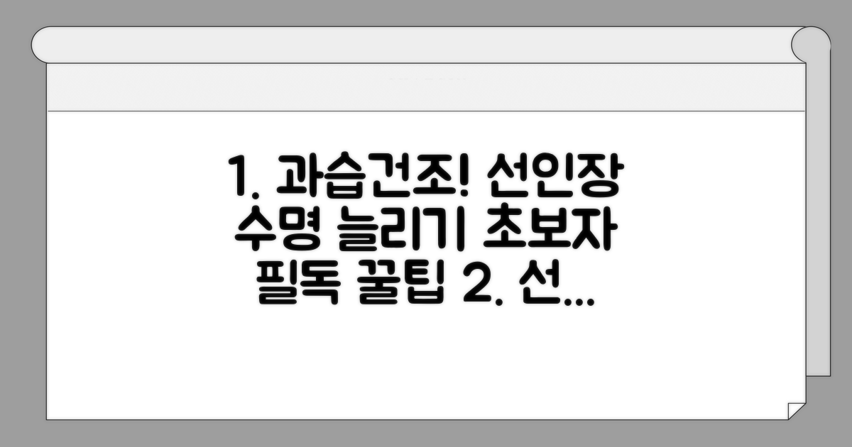 과습, 건조! 선인장 건강 지키기