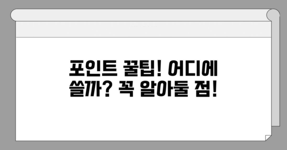 포인트 사용처와 주의사항 체크