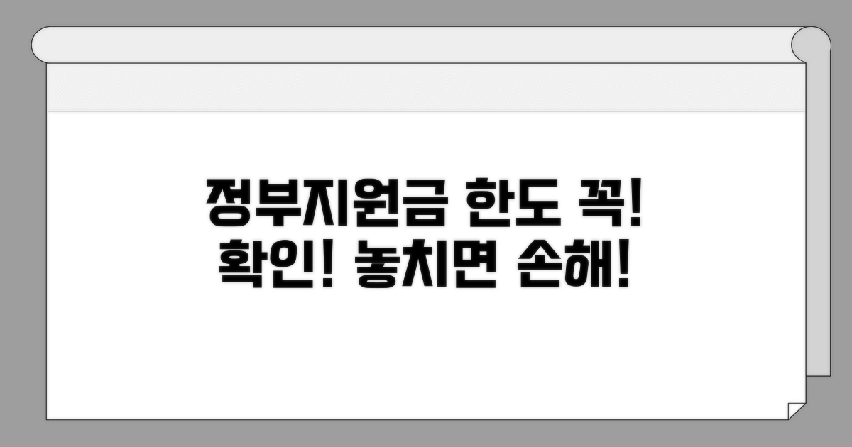 정부 지원금 한도, 꼼꼼히 확인하세요