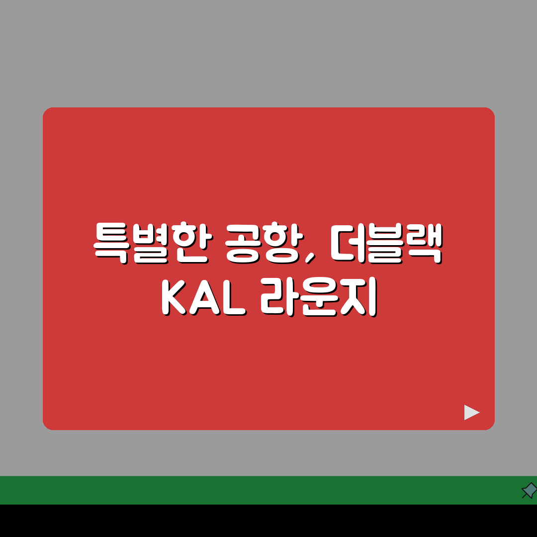 현대카드 더블랙 KAL라운지 이용권, 무료 혜택 완벽 분석
