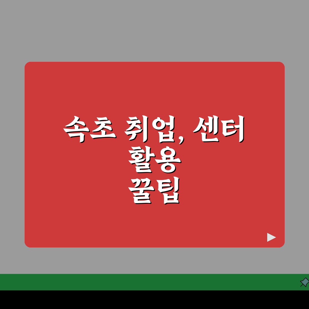 속초시청 홈페이지 일자리센터 공공근로 동행일자리 채용 정보 바로가기 꿀팁